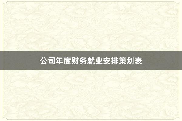 公司年度财务就业安排策划表