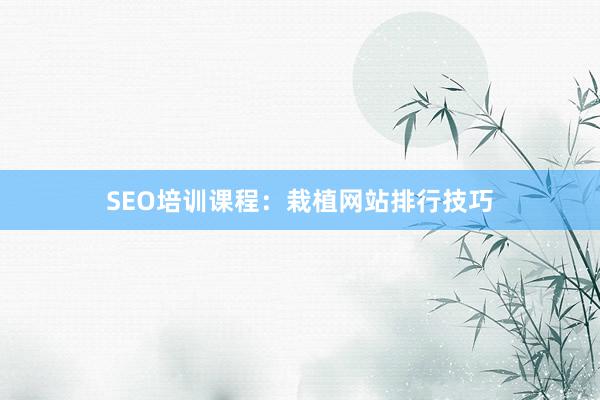 SEO培训课程：栽植网站排行技巧